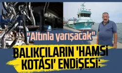 Balıkçıların 'hamsi kotası' endişesi: "Altınla yarışacak"