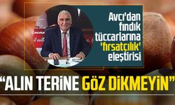 Erdal Avcı'dan fındık tüccarlarına 'fırsatçılık' eleştirisi: "Alın terine göz dikmeyin"