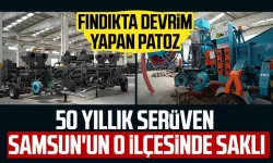 Samsun'un o ilçesinde fındıkta devrim yapan patozun serüveni saklı