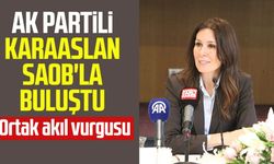 AK Partili Çiğdem Karaaslan SAOB'la buluştu: Ortak akıl vurgusu