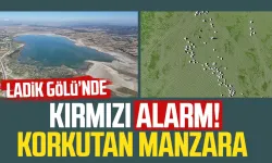 Ladik Gölü kırmızı alarm veriyor! Korkutan manzara