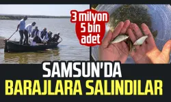 3 milyon 5 bin adet: Samsun'da barajlara salındılar