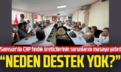 Samsun'da CHP fındık üreticilerinin sorunlarını masaya yatırdı: Neden destek yok?