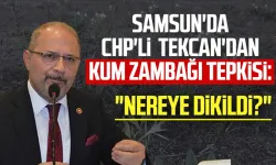 Samsun'da CHP'li Atila Tekcan'dan kum zambağı tepkisi: "Nereye dikildi?"