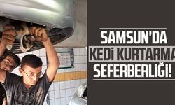 Samsun'da kedi kurtarma seferberliği!