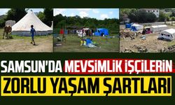 Samsun'da mevsimlik işçilerin zorlu yaşam şartları