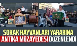 Sokak hayvanları yararına antika müzayedesi düzenlendi