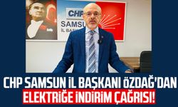 CHP Samsun İl Başkanı Mehmet Özdağ'dan elektriğe indirim çağrısı!