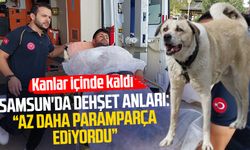 Samsun'da köpeğin saldırdığı Abdullah Aydın dehşeti yaşadı!