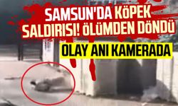 Samsun'da Abdullah Aydın köpek saldırısına uğradı: Olay anı kamerada