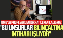 OMÜ'lü profesörden dikkat çeken çalışma: "Bu unsurlar bilinçaltına intiharı işliyor"