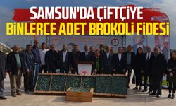 Samsun'da çiftçiye binlerce adet brokoli fidesi