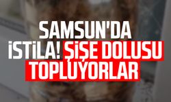 Samsun'da istila! Şişe dolusu topluyorlar