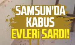 Samsun'da kabus evleri sardı! Mahalleli yardım istedi