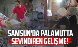 Samsun'da palamutta sevindiren gelişme! Yarı yarıya düştü