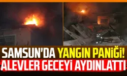 Samsun'da yangın paniği! Alevler geceyi aydınlattı