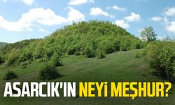 Asarcık'ın neyi meşhur! Asarcık'ta nereye gidilir?