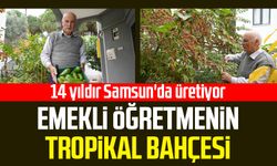 Emekli öğretmen Hakkı Albayrak'ın tropikal bahçesi: 14 yıldır Samsun'da üretiyor