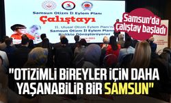 Samsun'da Otizm İl Eylem Planı Çalıştayı