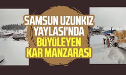 Samsun Yakakent Uzunkız Yaylası'ndan kar manzarası!