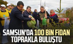 Samsun'da 100 bin fidan toprakla buluştu