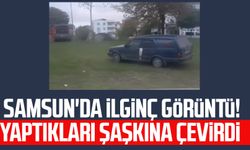 Samsun'da ilginç görüntü! Yaptıkları şaşkına çevirdi