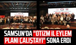 Samsun'da "Otizm İl Eylem Planı Çalıştayı" sona erdi