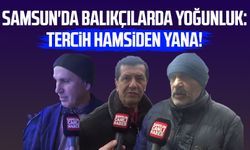 Samsun'da balıkçılarda yoğunluk: Tercih hamsiden yana!