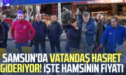 Samsun'da vatandaş hasret gideriyor! İşte hamsinin fiyatı