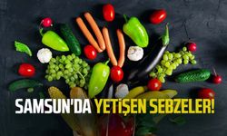 Samsun'da yetişen sebzeler!