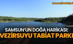 Samsun’un Doğa Harikası: Vezirsuyu Tabiat Parkı