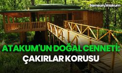 Samsun gezilecek yerler: Atakum Çakırlar Korusu