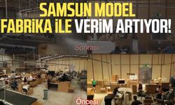 Samsun Model Fabrika ile verim artıyor!