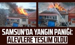 Samsun'da yangın paniği: Alevlere teslim oldu