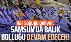 Kar soğuğu geliyor: Samsun'da balık bolluğu devam edecek!