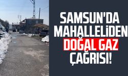 Samsun'da Kalkanca Mahallesi'nde vatandaşlardan doğal gaz çağrısı