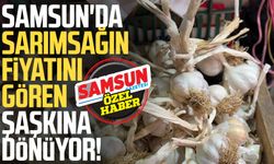 Samsun'da sarımsağın fiyatını gören şaşkına dönüyor!