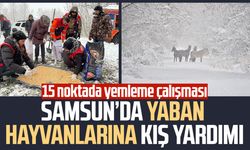 Samsun Terme'de yaban hayvanlarına kış yardımı