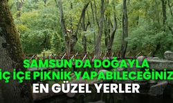 Samsun piknik alanları