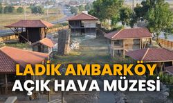 Samsun'da doğayla iç içe açık hava müzesi: Ladik Ambarköy