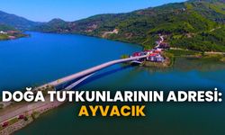 Doğa tutkunlarının adresi: Ayvacık