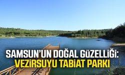 Samsun'un doğal güzelliği: Vezirköprü tabiat parkı