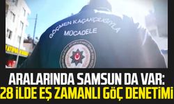 Aralarında Samsun da var: 28 ilde eş zamanlı göç denetimi