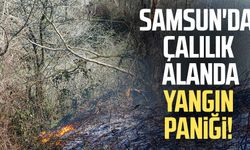 Samsun'da çalılık alanda yangın paniği!