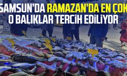 Samsun’da Ramazan’da en çok o balıklar tercih ediliyor