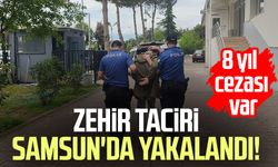 8 yıl cezası var: Zehir taciri Samsun'da yakalandı!