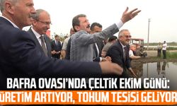 Bafra Ovası’nda Çeltik Ekim Günü: Üretim artıyor, tohum tesisi geliyor