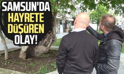 Samsun'da pastanede şok olay! Kısa sürede yakalandı