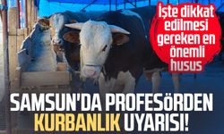 Samsun'da profesörden kurbanlık uyarısı! İşte dikkat edilmesi gereken en önemli husus