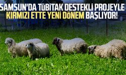 Samsun'da TÜBİTAK destekli projeyle kırmızı ette yeni dönem başlıyor!